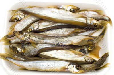 sprat on white