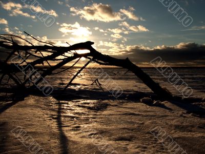 Decline on winter lake-2