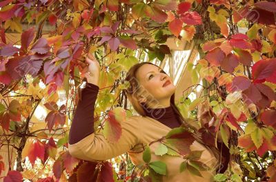Portrait of the beautiful girl in autumn park Portrait of the beautiful girl in autumn park
