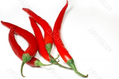 Red hot peppers