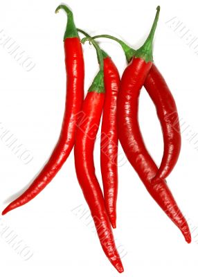 Red peppers