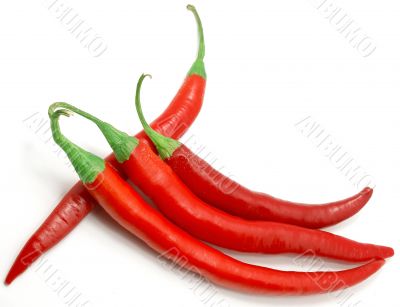 Chili peppers
