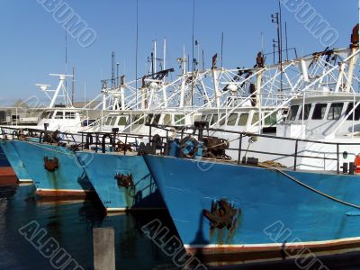 Blue fishing boats