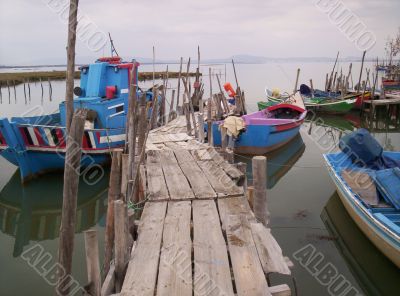 Fishing boats