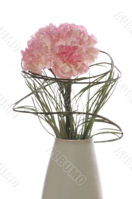 Bouquet of carnations