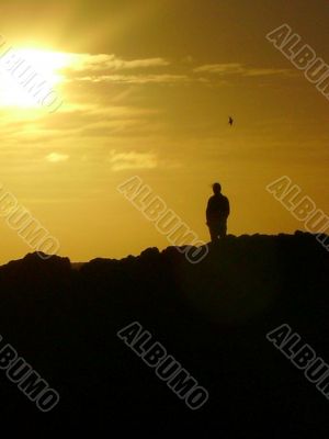 Man and bird silhoutte