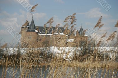 A line of reed partly hiding a snowcovered castle
