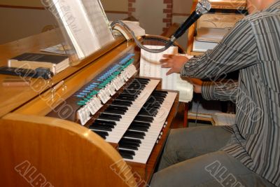 musical organs