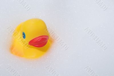 Rubber Duck in a Bubble Bath