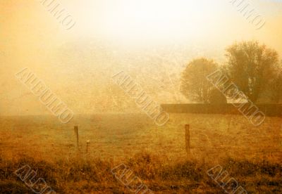 old-fashioned flower