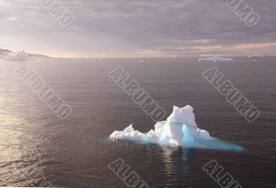 Icebergs in late evening alpenglow Icebergs in late evening alpenglow