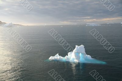 Icebergs in late evening alpenglow