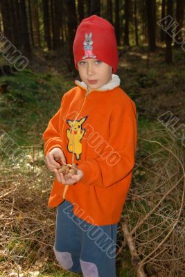 boy and mushrooms