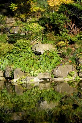Quiet pond reflections
