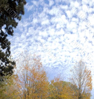 Autumn sky