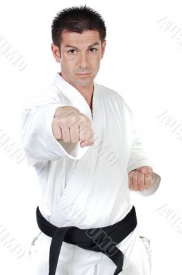 Martial arts punch