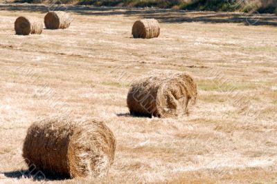 Fall Hay Bale