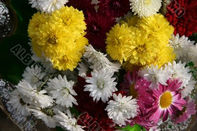 detailed close-up background of vivid flowers