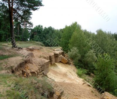 August Landscape with stones and pine forest