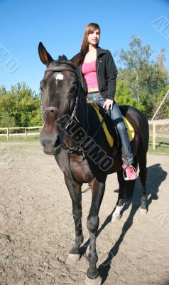 female equestrian in saddle of black stallion