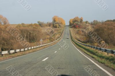 Autumn road with yellow tress on both sides