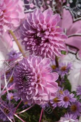 detailed close-up of vivid fresh flower