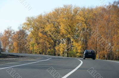 Autumn highway with yellow tress on both sides