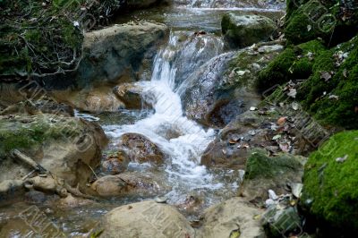 Flowing water in the creek