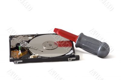 The disassembled hard disk with a toy screw-driver isolated on w