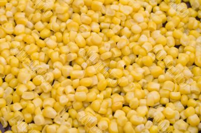 maize