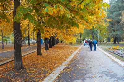 autumn park avenue