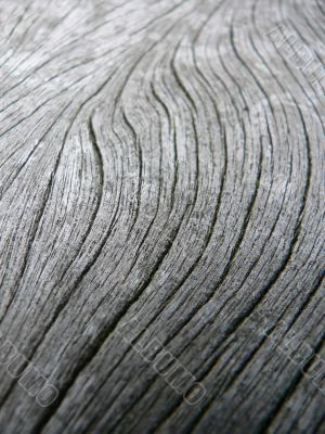 wooden surface macro