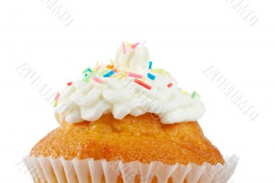 Tasty muffin with cream detail
