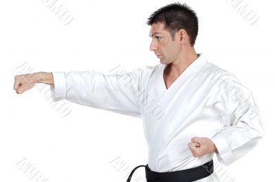 Martial arts stance