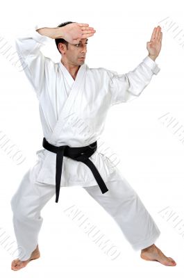 Martial arts stance