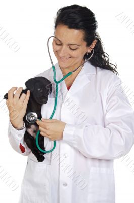 Attractive lady veterinarian
