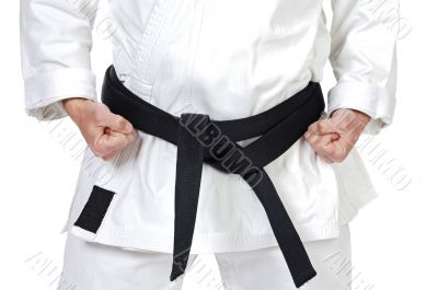 Martial arts pose Martial arts pose