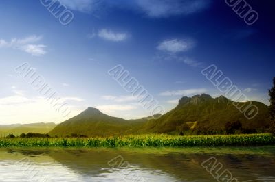 Green hill with blue sky. Summer landscape