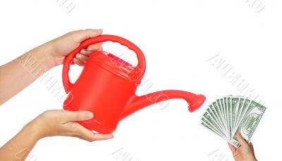 Watering my money