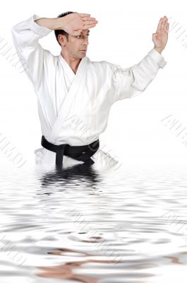 Martial arts stance