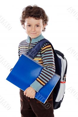 Adorable child studying