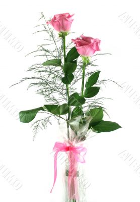 Gift Roses 1