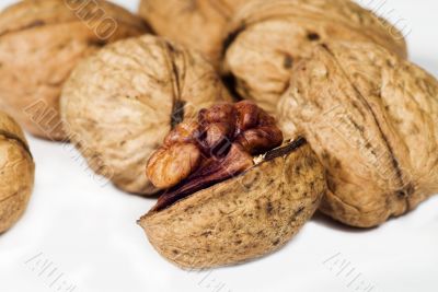 Walnut in closeup