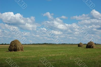 Three hayricks on the meadow