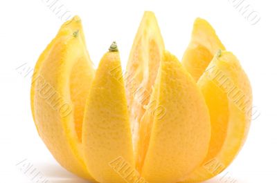 orange close up