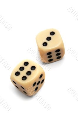 dice