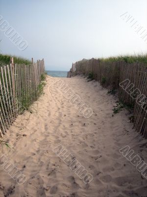 beach pathway