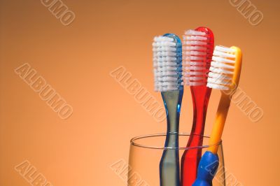 A Family`s Toothbrushes