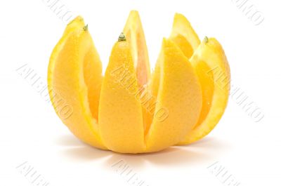 orange segment