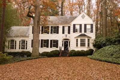 White House and Leaves